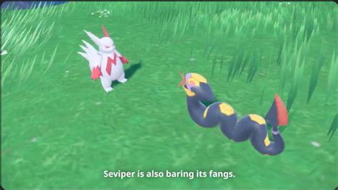 zangoose serebii|zangoose vs seviper.